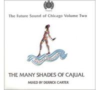 Various - Future Sound of Chicago 2