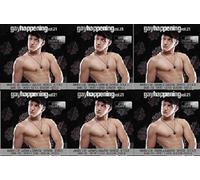Various - Gay Happening Vol.21