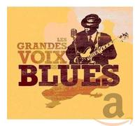 Various - Great Blues Voices