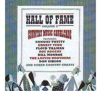 Various - Hall of Fame Vol 5
