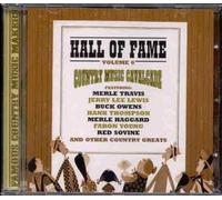 Various - Hall of Fame Vol 6