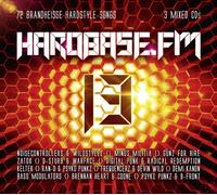 Various Artist - Hardbase Fm 13