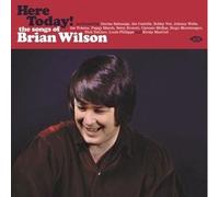 Various - Here Today The Songs of Brian Wilson - Vinyl Record - 13 - F72z