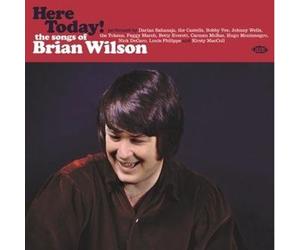 Various - Here Today The Songs of Brian Wilson - Vinyl Record - E72z