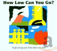 Various - How Low Can You Go?