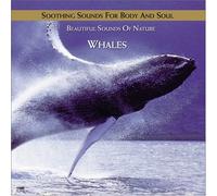 Various - Humpback Whale Serenade