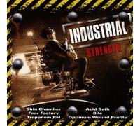 Various - Industrial Strength