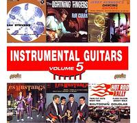 Various - Instrumental Guitars Vol.5