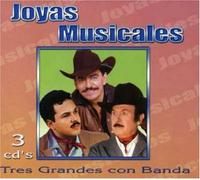 Various - Joyas Musicales: Coleccion De