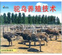 Various - Karaoke Traditional Christmas