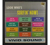 VARIOUS - look who's surfin' now! LP