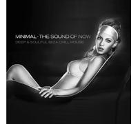 Various - Minimal-the Sound of Now Vol.1