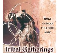 Various Native American Artist - Tribal Gatherings