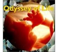 Various - Odyssey of Life