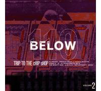 Various - One Hundred & Ten Below Vol.2