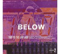 Various - One Hundred & Ten Below Vol.2