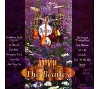 Various - Pan Pipes Play the Beatles