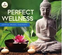 Various Perfect Wellness-Joyful Music Therapy (CD)