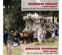 Various Perform Pèlerinage Andalou - Rocio Grande: Flamenco Et Sons Naturel (CD)