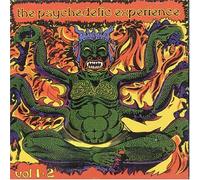 Various - Psychedelic Experience Vol 1+2