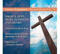Various - Sacred Music Vol.11