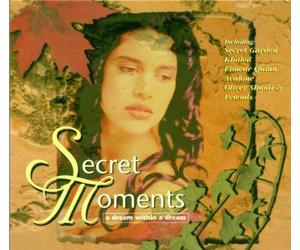 Various - Secret Moments 1