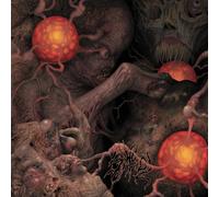 Various Sheol 4-way Split (CD)