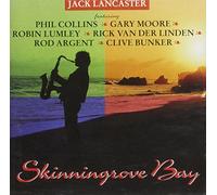 Various - Skinningroove Bay