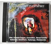Various - Smells Like Team Spirit