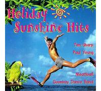 Various - Sommer Sonnenschein Hits (CD Compilation, 16 Titel, Diverse Künstler) Cock Robin - When Your Heart Is Weak / Donovan - Sunshine Superman / Bonnie Tyler - Straight From The Heart / Sly & The Family Stone - Hot Fun In The Summertime / Paul Young - Everytime You Go Away / Ivan - Fotonovela u.a.