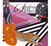 Various - Soul Source DJ Mix