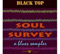 Various - Soul Survey