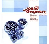 Various - Sounds of Gayness Vol.2