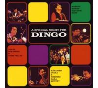 Various - Special Night for Dingo, a