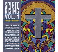 Various - Spirit Rising Vol.1
