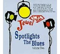 Various - Spotlights the Blues V. 2