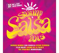 Various - Sunny Salsa 2013