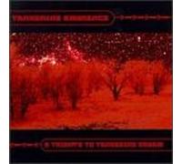 Various (Tangerine Dream Tribute) - Tangerine Ambience Vol.1