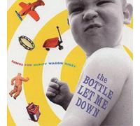 Various The Bottle Let Me Down (CD) Album