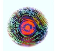 Various - The Road to the Western Lands