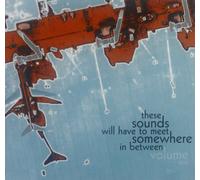 Various - These Sounds Will Have to Meet Somewhere