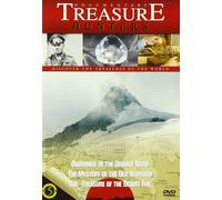 Various Treasure Hunters 5 (Video Game)