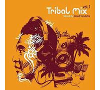 Various - Tribal Mix Vol. 1 Mixed By David Vendetta