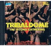 Various - Tribaldome 2(2cds-24 Titres)