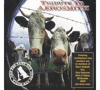 Various - Tribute to Aerosmith