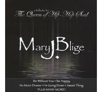 Various - Tribute to Mary J Blige