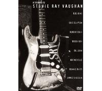 Various - Tribute to Stevie Ray Vaughan