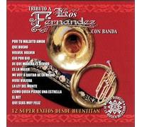 Various - Tributo a Los Fernandez Con Ba