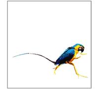 Various - Trip Do Brazil