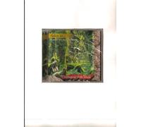 Various - Tropical Rain Forest